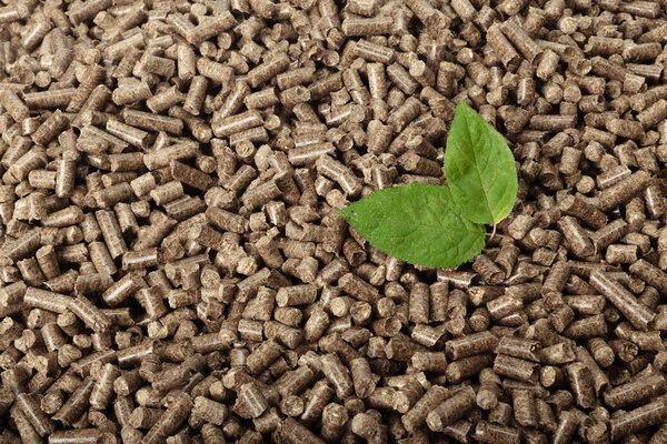Green leaf on solid wooden pellets background