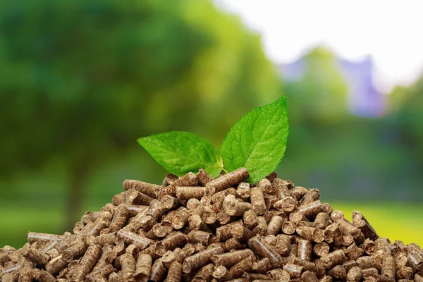 Granulés Bois Sur Fond Naturel Vert — Photo