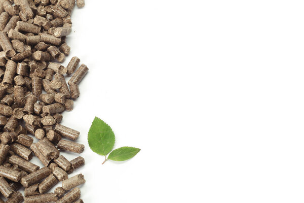 Green leaf on solid wooden pellets background