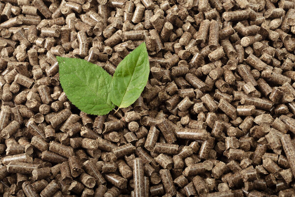 Green leaf on solid wooden pellets background