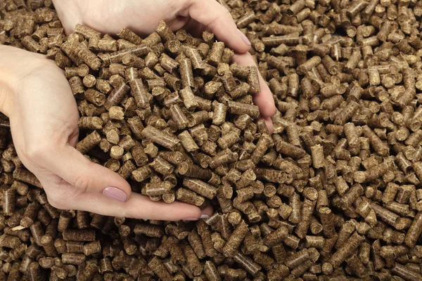 Human Hands Holding Solid Wooden Pellets — Stock Photo, Image