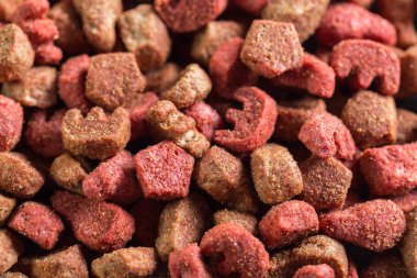 Kuru Köpek Gıda arka plan