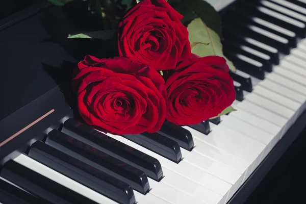 Rosas Rojas Teclas Piano — Foto de Stock