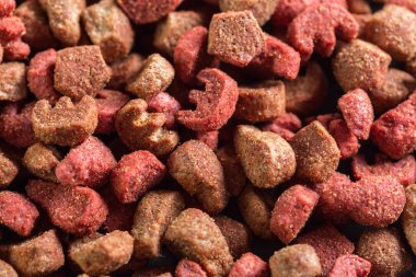 Kuru Köpek Gıda arka plan