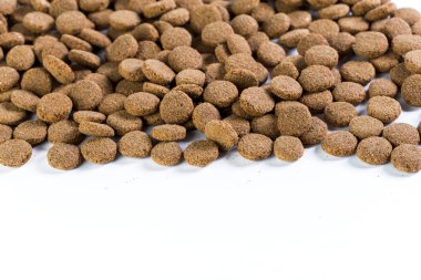 Kuru Köpek Gıda beyaz zemin üzerine izole