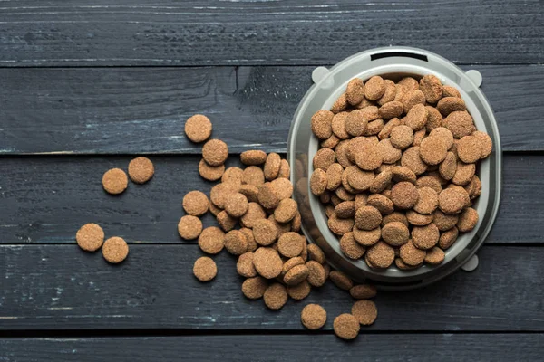 Comida Para Mascotas Tazón Suelo Madera —  Fotos de Stock