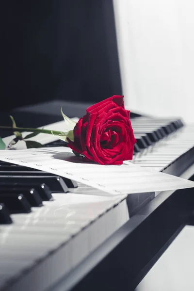 Piano Cauda Com Rosa Vermelha — Fotografia de Stock