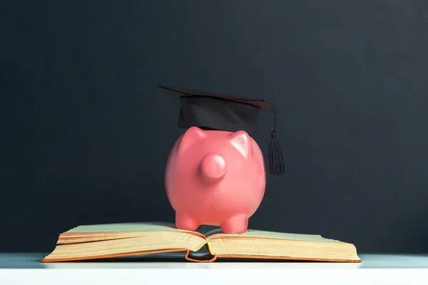 Licenciatura Estudante Diploma Piggy Bank — Fotografia de Stock