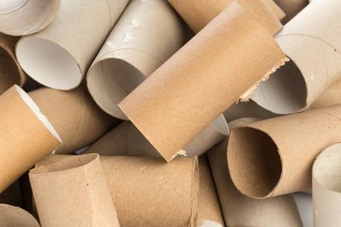 Beyaz arka plan üzerinde boş tuvalet kağıdı