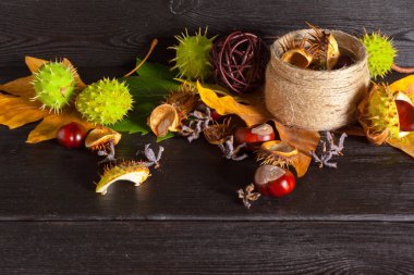 yakın çekim çekim güzel Şükran sonbahar kompozisyon