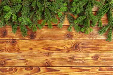 Ahşap arka planda noel ağacı dalları