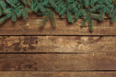 Köknar ağacı dalları ile Noel tatil arka plan