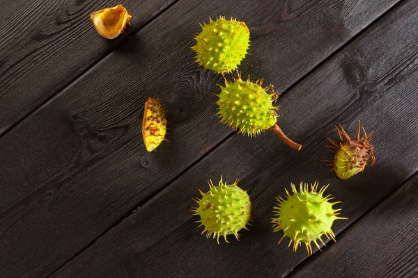 Castanhas Uma Mesa Madeira — Fotografia de Stock