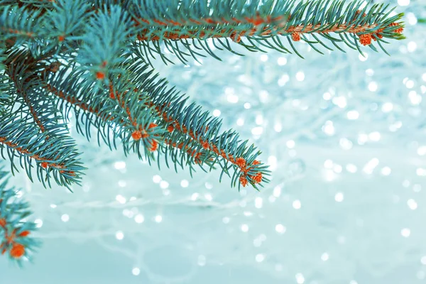 Noel Ağacı Işık Mavi Bokeh Arka Plan Üzerinde — Stok fotoğraf