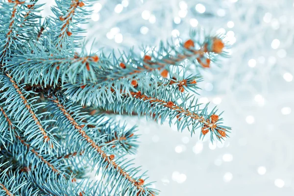 Noel Ağacı Işık Mavi Bokeh Arka Plan Üzerinde — Stok fotoğraf