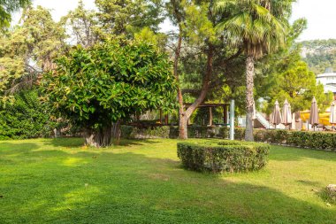 gündüz otel bölgede üzerinde yeşil bahçe 