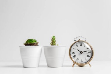 Kaktüs saksı ve beyaz çalar saat