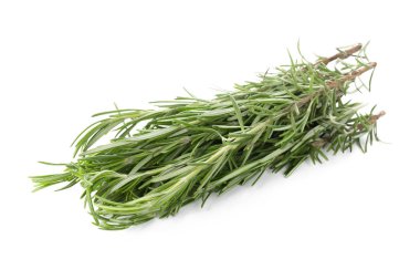 Beyaz arka plan üzerinde izole biberiye dal