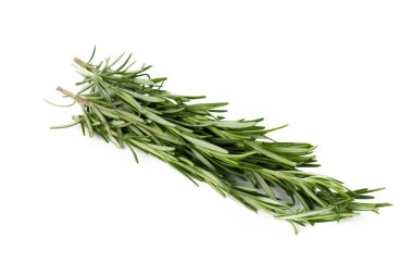 Biberiye beyazda izole edilmiş