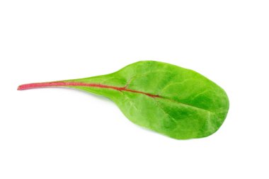 Yeşillik kapatmak kadar izole üzerinde beyaz arka plan