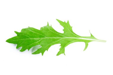 Arugula beyaz arkaplanda izole bırakılır