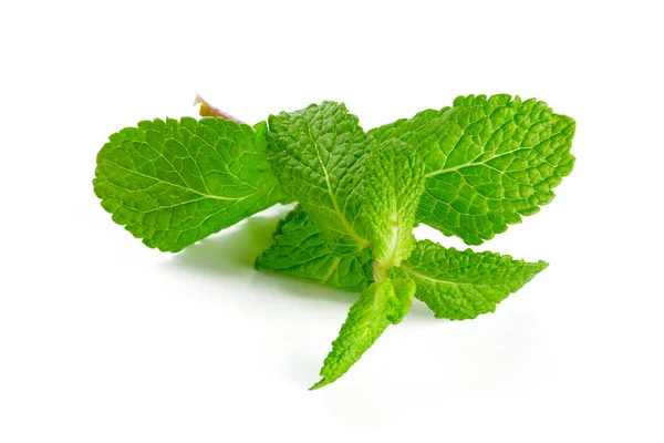 Mint Isolated White — Stock Photo, Image