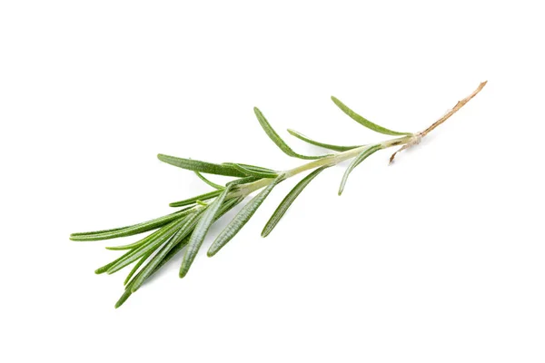 Rosemary Isolated White — Stock Photo, Image