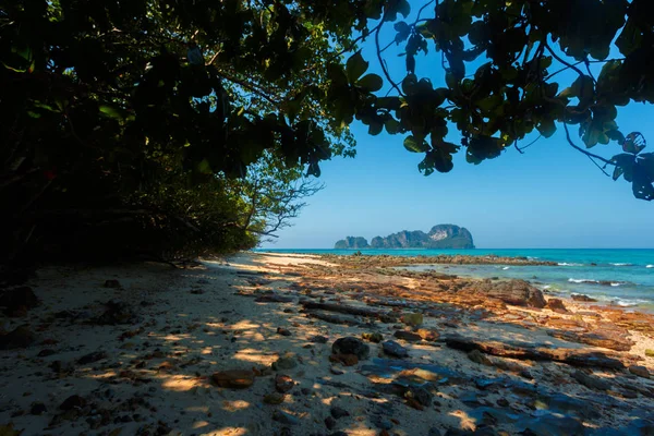 Sea Tropical Beautiful Paradise — Stock Photo, Image