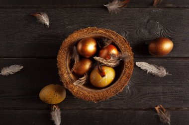 vintage kase ahşap zemin üzerine altın yumurta