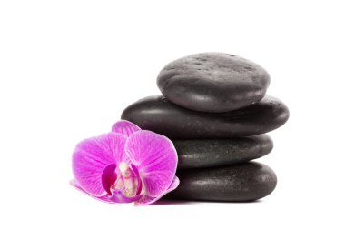 Zen taşlar ve spa kavram olarak Pembe orkide çiçeği
