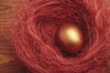 ahşap masa üzerinde altın yumurta