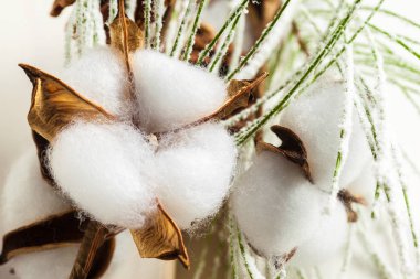 Noel tatili süsleme Yakın çekim