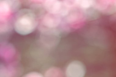 bulanık pembe bahar çiçek açması arka plan