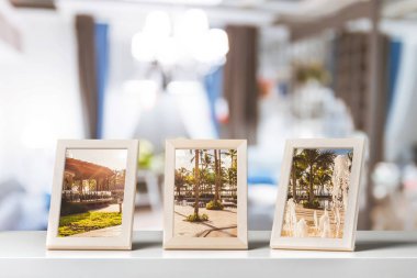 nature picture frames on the table  clipart