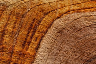 Kahverengi ahşap arka planını yakın çekim