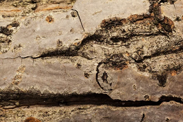 Chapped Rustic Brown Wooden Background — Stock Photo, Image