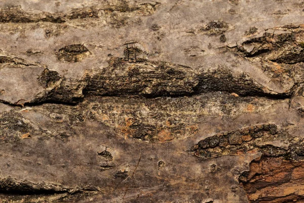 Dark Rustic Chapped Wooden Background — Stock Photo, Image