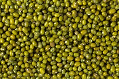 Mung fasulye arka plan yakın çekim 