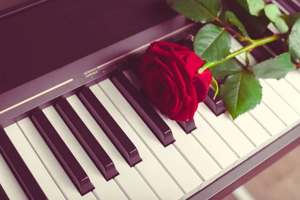 Piano Cola Con Rosa Roja —  Fotos de Stock