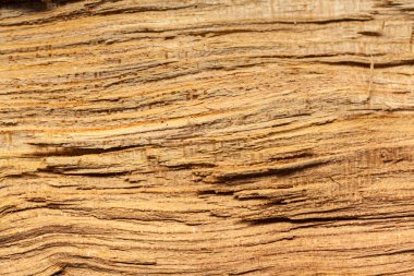 Kahverengi ahşap arka planını yakın çekim