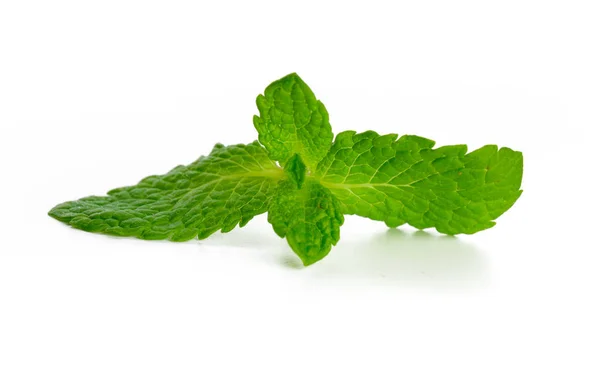 Foglie Menta Fresca Isolate Sfondo Bianco — Foto Stock