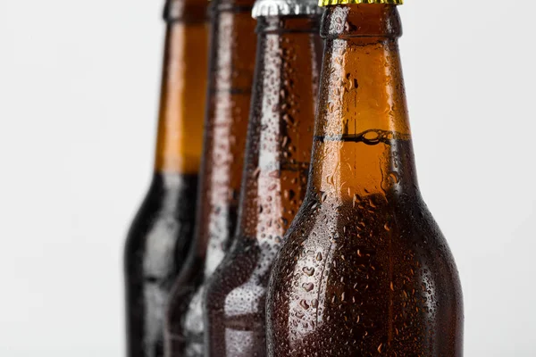 Set Bottiglie Birra Isolate — Foto Stock