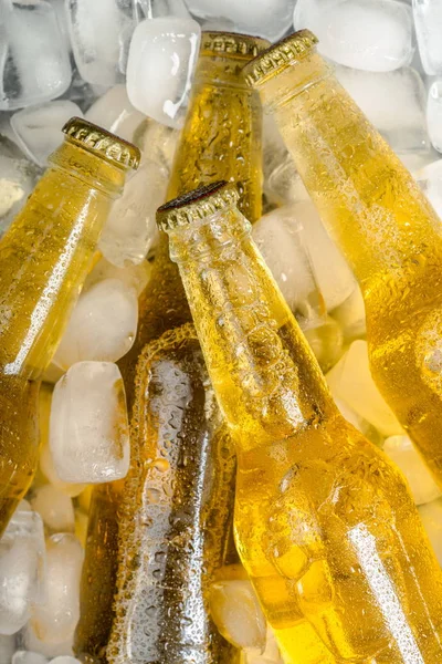 Bottiglie Birra Fresca Fredda Con Ghiaccio — Foto Stock