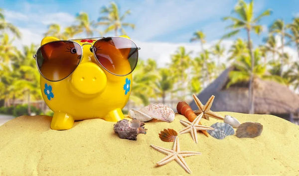 Letní Prasátko Sluneční Brýle Pláži — Stock fotografie