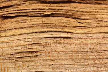 Kahverengi ahşap arka planını yakın çekim