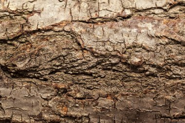 Kahverengi ahşap arka planını yakın çekim