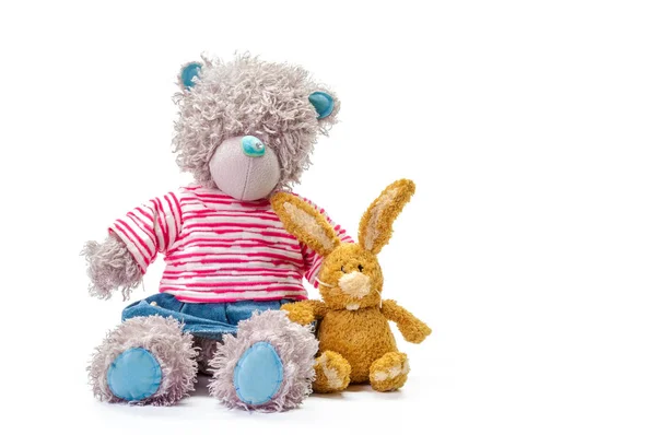 Spielzeug Teddybär Und Kaninchen Isoliert Auf Weißem Hintergrund — Stockfoto