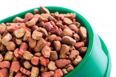 Kuru Köpek Gıda beyaz zemin üzerine izole
