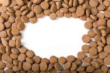 Kuru Köpek Gıda beyaz zemin üzerine izole