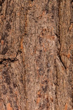 Kahverengi ahşap arka planını yakın çekim